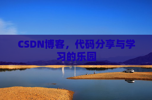CSDN博客，代码分享与学习的乐园